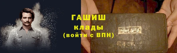 гидра Горнозаводск
