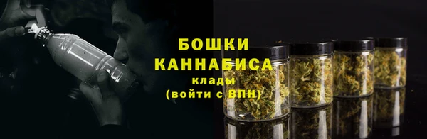 гидра Горнозаводск