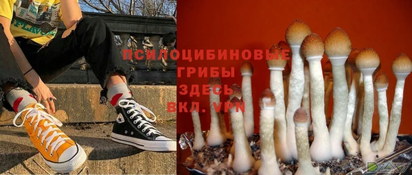 гашик Горняк