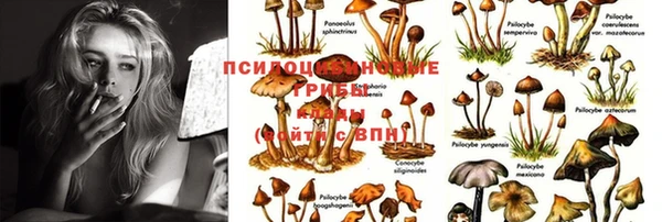 MDMA Premium VHQ Вязники