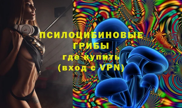гашик Горняк
