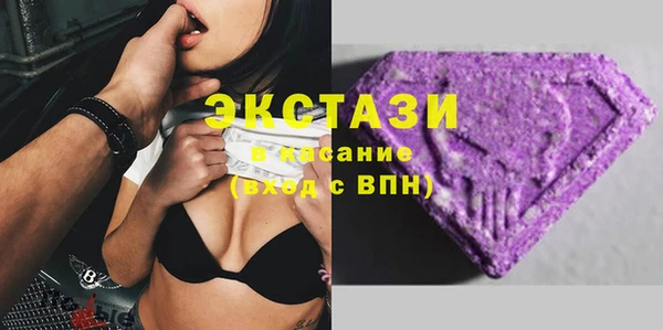 гашик Горняк